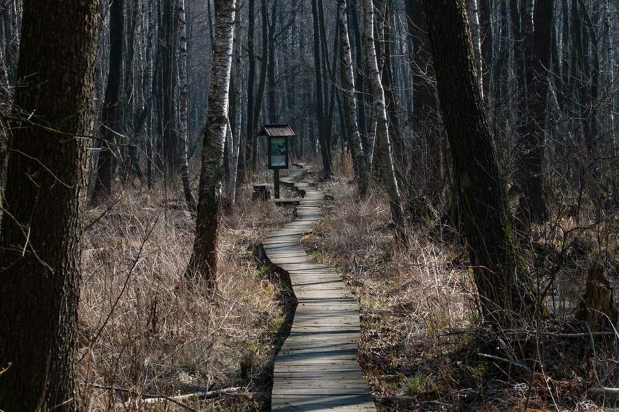 Ścieżka edukacyjna w Poleskim Parku Narodowym
