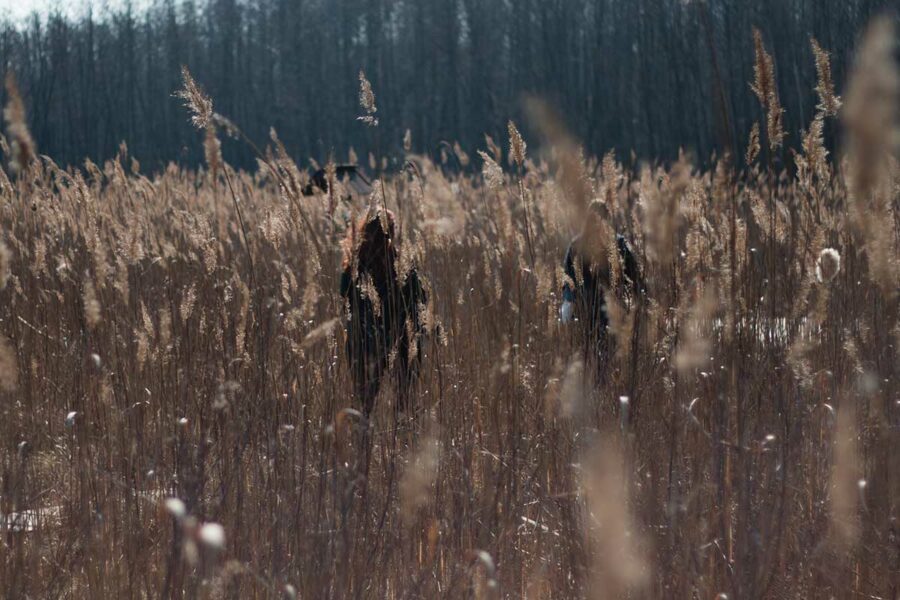 Przyroda w Poleskim Parku Narodowym